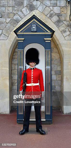 queens guard. london england. - bearskin hat stock pictures, royalty-free photos & images
