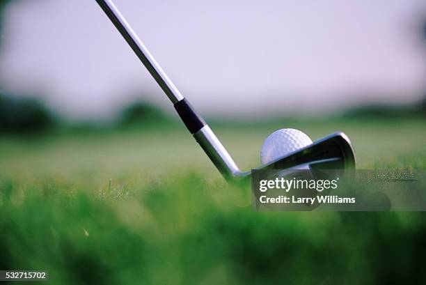 teeing off - golf course no people stock pictures, royalty-free photos & images