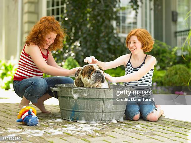sisters washing dog - zinkwanne stock-fotos und bilder
