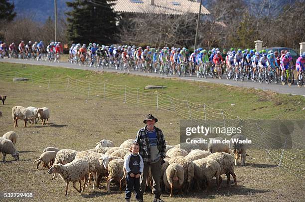 70th Paris - Nice 2012 / Stage 7 Illustration Illustratie / Sheep Moutons Schapen Schaap / Peleton Peloton / Bradley Wiggins Yellow Jersey Team Sky /...