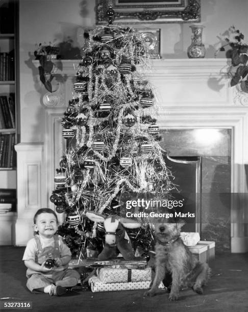christmas tree with boy and dog - christmas tree 50's stockfoto's en -beelden