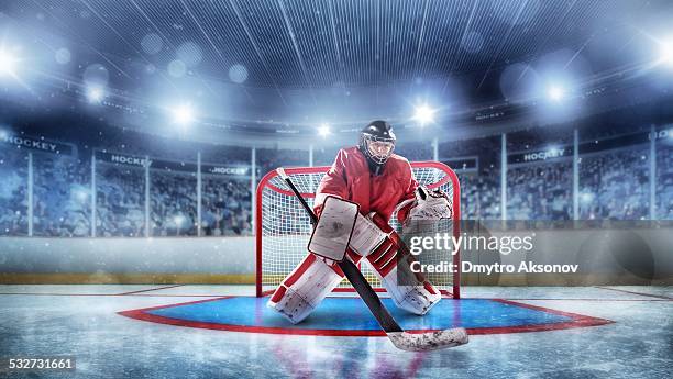 goleiro de hóquei no gelo - ice hockey goaltender - fotografias e filmes do acervo