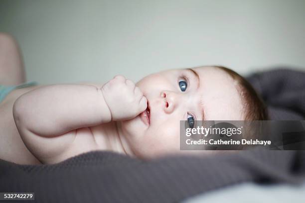 a 3 months baby boy - finger in mouth stock pictures, royalty-free photos & images