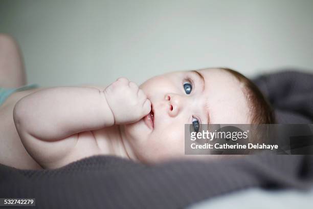 a 3 months baby boy - chupando dedo - fotografias e filmes do acervo