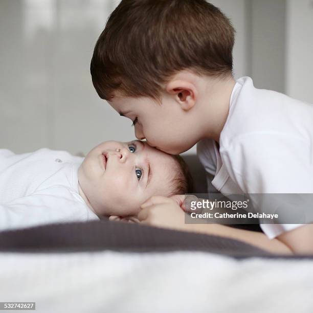 a 3 years old boy kissing his baby brother - 2 3 years stock-fotos und bilder