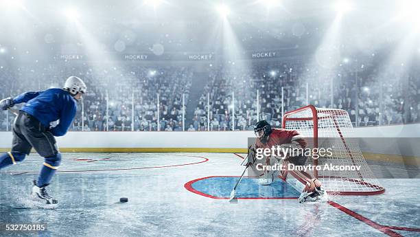 Carl Fish 17,571 Hockey Action Shot Stock Photos, High-Res Pictures, and Images ...