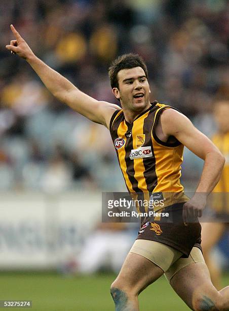 Jordan Lewis for the Hawks celebrates a goal during the round seventeen AFL match between the Hawthorn Hawks and the Carlton Blues at the M.C.G. On...