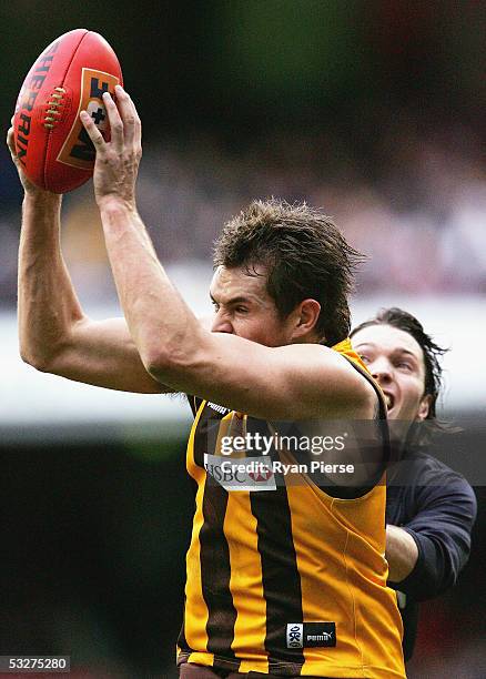 Luke Hodge for the Hawks in action during the round seventeen AFL match between the Hawthorn Hawks and the Carlton Blues at the M.C.G. On July 23,...