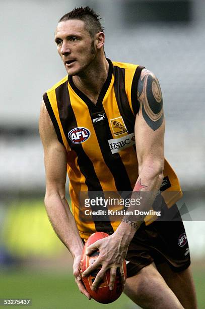 Peter Everitt for the Hawks in action during the round seventeen AFL match between the Hawthorn Hawks and Carlton Blues at the MCG on July 23, 2005...