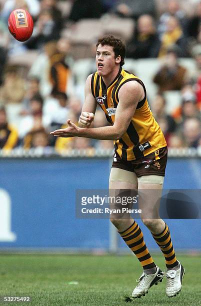 Jarryd Roughead for the Hawks in action during the round seventeen AFL match between the Hawthorn Hawks and the Carlton Blues at the M.C.G. On July...