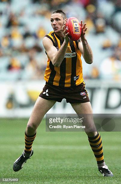 Peter Everitt for the Hawks in action during the round seventeen AFL match between the Hawthorn Hawks and the Carlton Blues at the M.C.G. On July 23,...