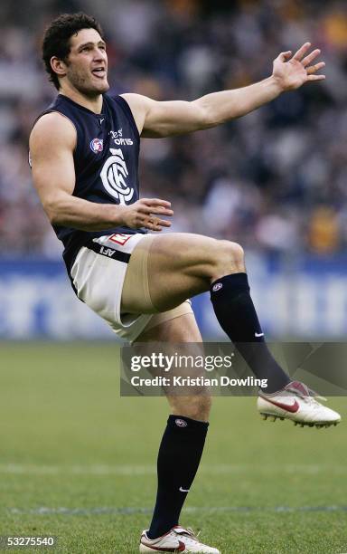 Brendan Fevola for the Blues in action during the round seventeen AFL match between the Hawthorn Hawks and Carlton Blues at the MCG on July 23, 2005...