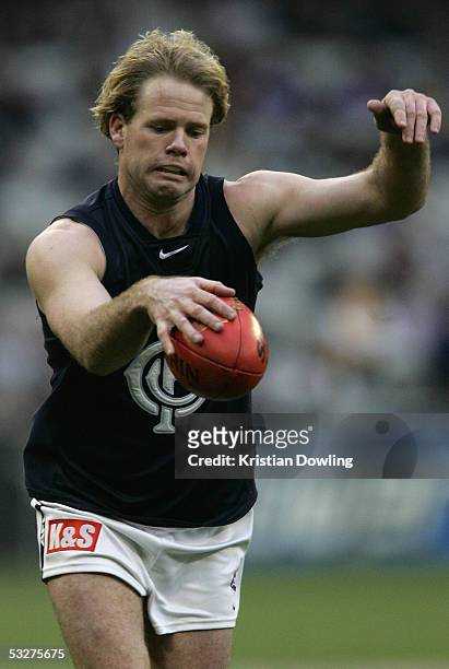 Nick Stevens for the Blues in action during the round seventeen AFL match between the Hawthorn Hawks and Carlton Blues at the MCG on July 23, 2005 in...