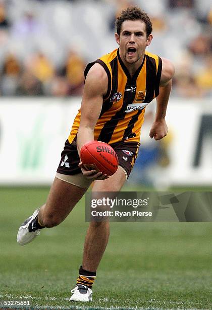 Luke Hodge for the Hawks in action during the round seventeen AFL match between the Hawthorn Hawks and the Carlton Blues at the M.C.G. On July 23,...