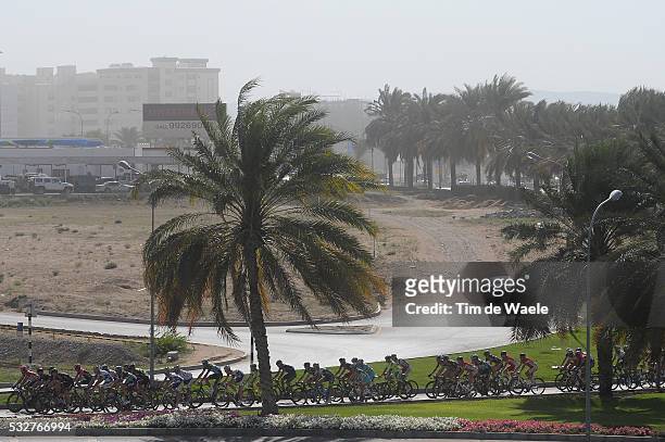 6th Tour of Oman 2015 / Stage 5 Illustration Illustratie / Peleton Peloton / Palm Tree Arbre Boom / Landscape Paysage Landschap / Strike Staking /...