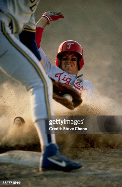 infielder catching baseball - casque de baseball photos et images de collection