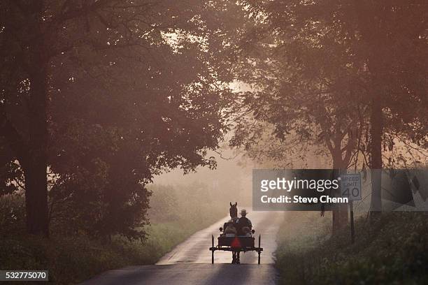 amish buggie on rural road - pennsylvania stockfoto's en -beelden