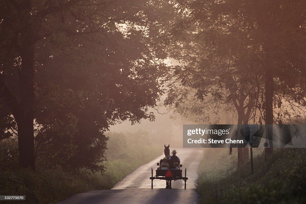 Amish Buggie on Rural Road