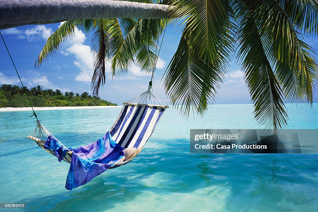 Hammock over Tropical Ocean