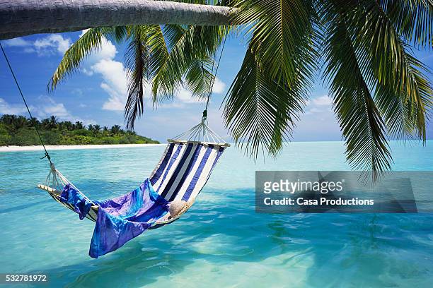 hammock over tropical ocean - idyllic stock pictures, royalty-free photos & images