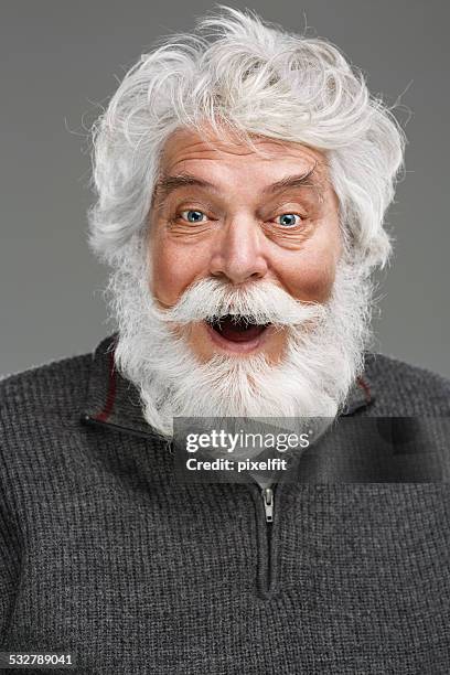 portrait of senior man with white beard and mustache - beards stock pictures, royalty-free photos & images