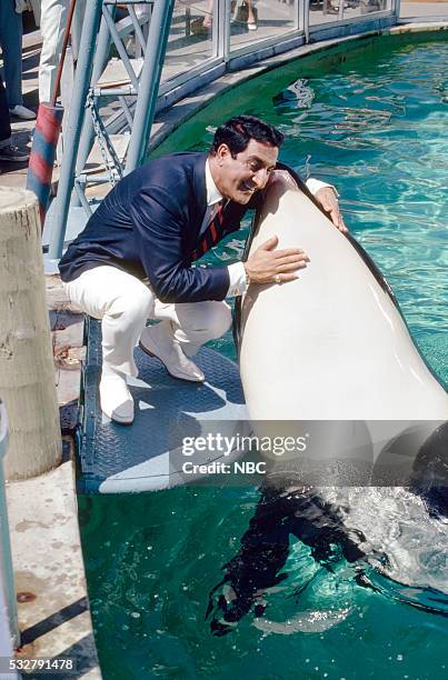 Sea World" Episode 6 -- Pictured: Host Danny Thomas kisses Shamu the Whale at Sea World San Diego --