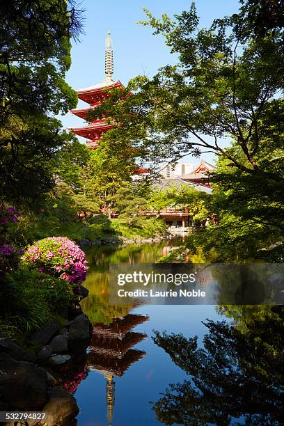 demboin gardens, senso-ji temple, asakusa - asakusa senso temple stock-fotos und bilder