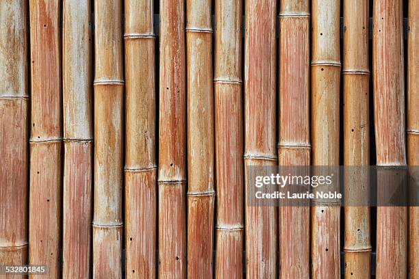 bamboo wall, tokyo, japan - bamboo texture stock-fotos und bilder