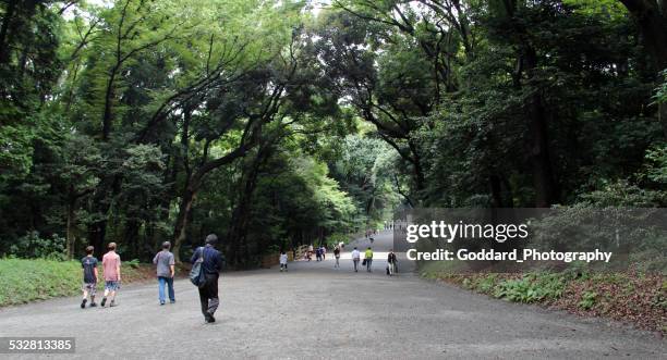 日本：東京の明治神宮公園 - 明治神宮 ストックフォトと画像