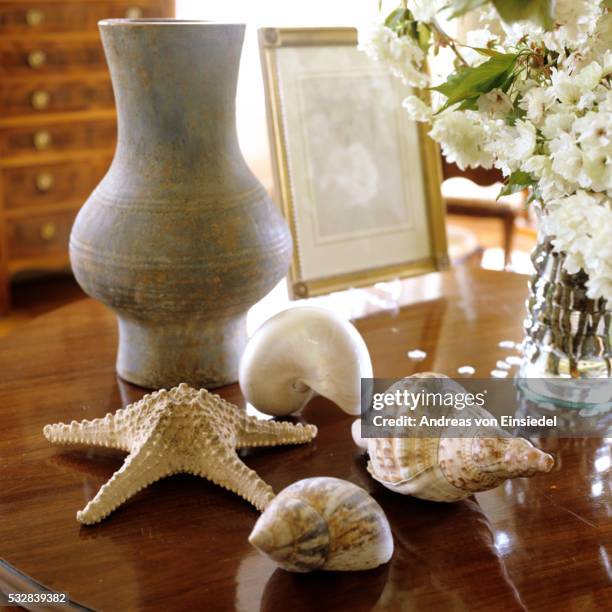 19th century suffolk country house - seashell decor stock pictures, royalty-free photos & images