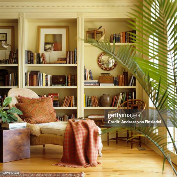 american house with verandah - book shelf foto e immagini stock