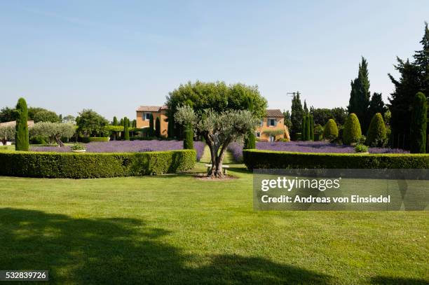 french holiday home in provence - domestic garden hedge stock pictures, royalty-free photos & images