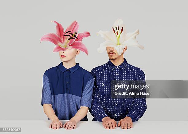 in bloom - nebeneinander-stehen stock-fotos und bilder