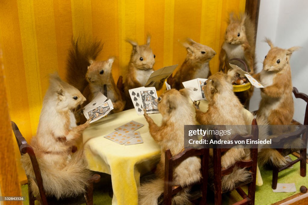 Taxidermy collection at the Little Shop of Horrors in London Hackney