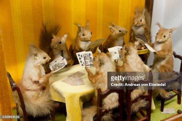 taxidermy collection at the little shop of horrors in london hackney - dead body photos stock pictures, royalty-free photos & images