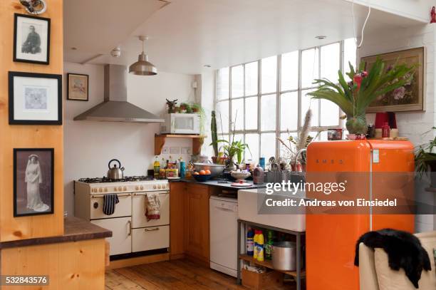 taxidermy collection at the little shop of horrors in london hackney - kitchen fridge imagens e fotografias de stock