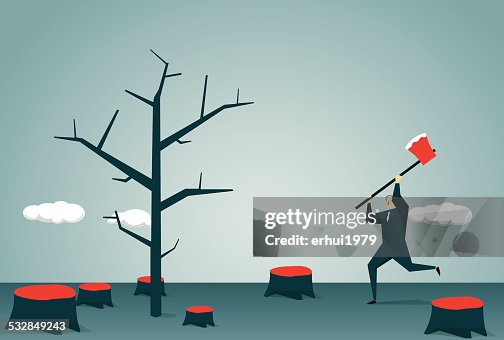 Deforestation Deforestation