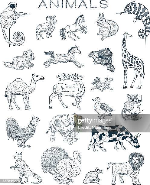 animals doodles - giraffe line drawing stock illustrations