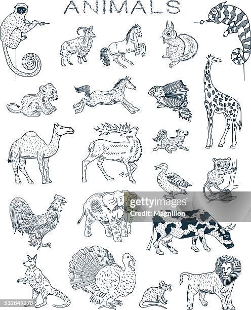 animals doodles - horse illustration stock illustrations