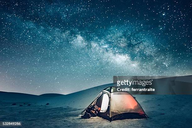 犬ぞり、星空の下でのキャンプ - キャンプ 夜 ストックフォトと画像