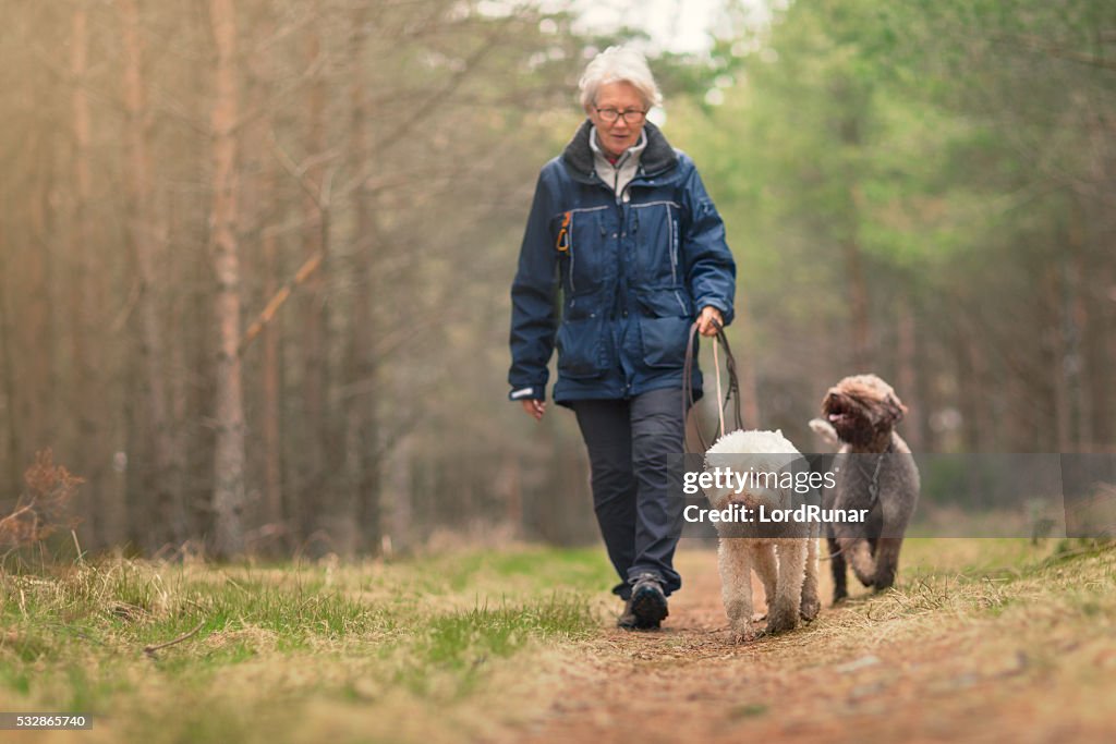 Woman out walking two dogs in a forest