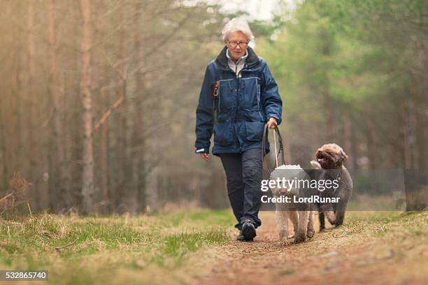 woman out walking two dogs in a forest - two animals stock pictures, royalty-free photos & images