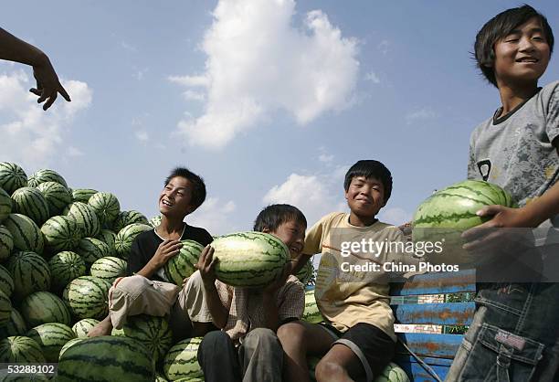 Chinese boys rest after helping their parents harvest watermelons July 24, 2005 in Tongxin County, Ningxia Hui Autonomous Region, northwest China....