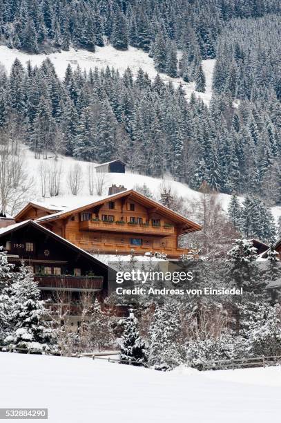 swiss chalet - ski hut stock pictures, royalty-free photos & images