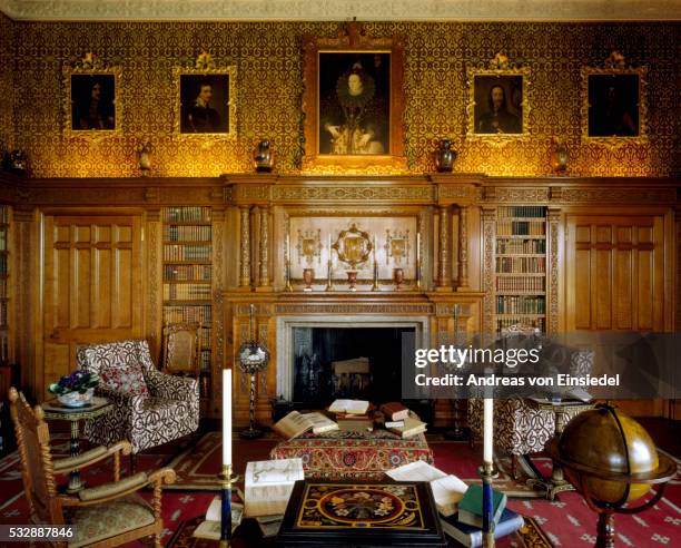 charlecote park - wood paneling stock pictures, royalty-free photos & images