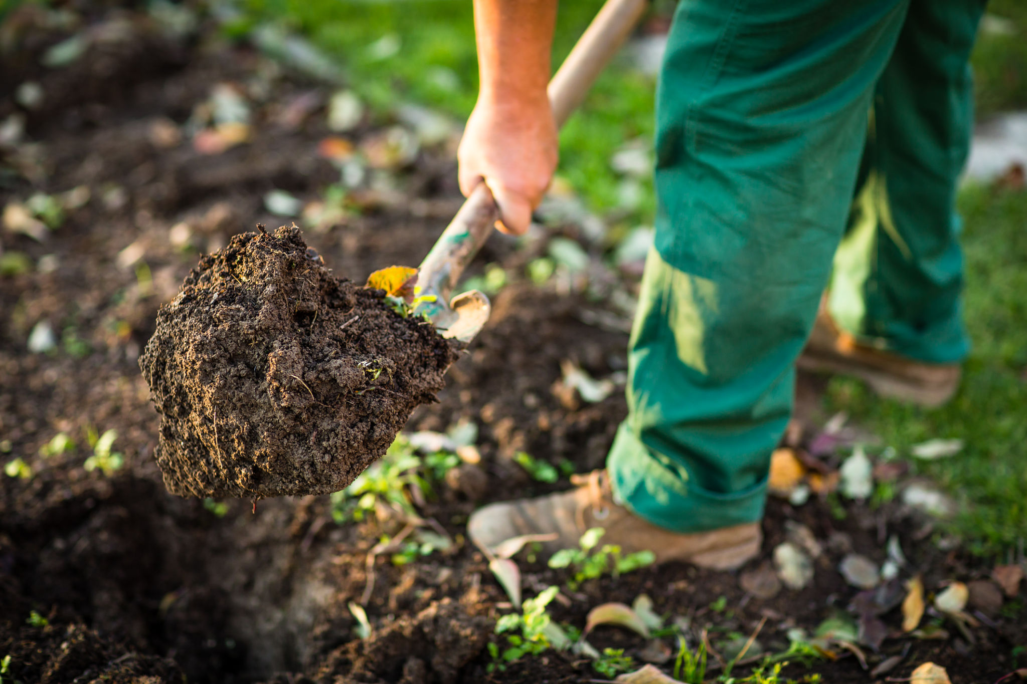 landscaping tools