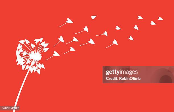 ilustraciones, imágenes clip art, dibujos animados e iconos de stock de corazones de diente de león - diente de león