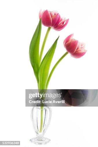 Spring Flowers Still Life High-Res Stock Photo - Getty Images