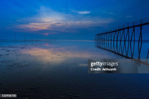 a wooden bridge at can gio beach, ho chi minh city - vietname stock-fotos und bilder