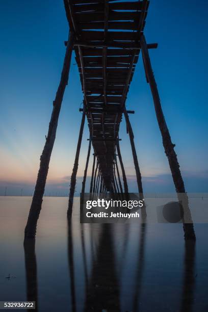 a wooden bridge at can gio beach, ho chi minh city - vietname 個照片及圖片檔